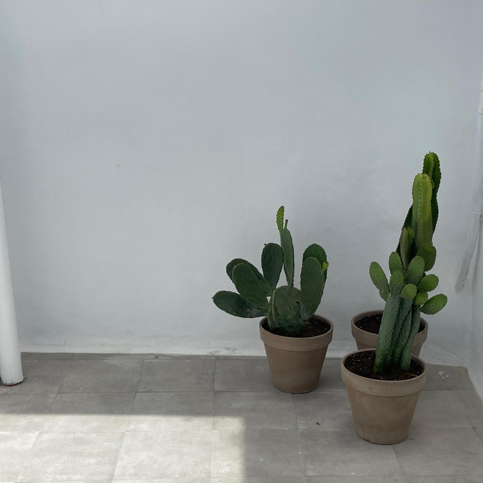 Casa Florinda Tarifa Apartment Exterior foto